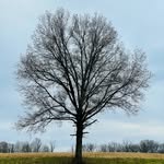 Shea Perkins and Tom Gayhart - @loneoakindiana - Instagram