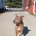 Shea Stull - Facebook