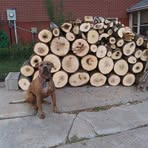 Shea Stull - Facebook