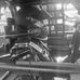 Shea Wheeler - Facebook