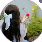 🕊🌿🌼 - @_____sheeba__khan_______ - Instagram