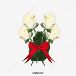 Sheela Stephen - @sheelastephen - Instagram