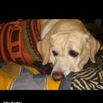 Sheela Stephen - @sheelastephen24 - Instagram