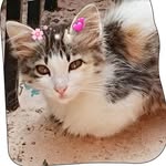 Sheela stephen - @sheela_1606 - Instagram
