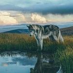 Sheena Baker - @sheenabaker61 - Instagram