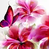 Sheena Barnes980 - @user5550466471057 - TikTok