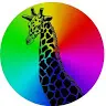 Sheena Bittner - @sheenabittner - TikTok