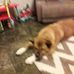 Sheena Clarke - Facebook
