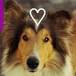 Sheena - @sheena_collierough - Instagram