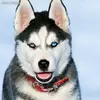 Sheena Ford - @sheena.ford1 - TikTok