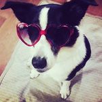 Sheena Gallagher - @sparkle.diamond.girl - Instagram