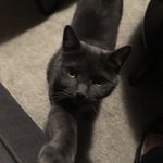 Sheena Gallagher - @sheena.gallagher.54 - Instagram