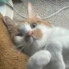Sheena.Garner - @q2tot8 - TikTok