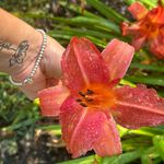 Sheena Hall - @sheenahall35 - Instagram