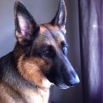 Sheena Hamilton - @sheenahamilton56 - Instagram