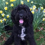Sheena Hamilton - @sheena.hamilton.71 - Instagram