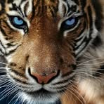 Sheena Harrington - Facebook