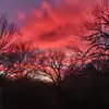 Sheena Hernandez - @southernsheena - TikTok