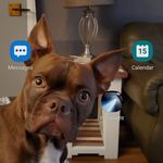 Sheena Howe - @sheena.wagstaffmartin - Instagram