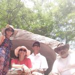 Sheena Jacob - @sheenajacob12 - Instagram