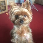 Sheena kerry - @sheenakerry2965 - Instagram