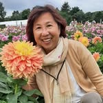 Sheena Kwong - @sheenakwong - Instagram
