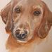 Sheena McIntosh - Facebook