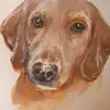 Sheena McIntosh - @sheena.mcintosh0 - TikTok