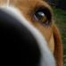 Sheena Mckenzie - Facebook
