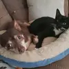 Sheena Reece - @shenae.82 - TikTok
