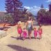 Sheena Sharp - Facebook