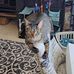 Sheena Sharp - Facebook
