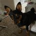 Sheena Thompson - Facebook