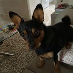 Sheena Thompson - @sheena.thompson.33234 - Instagram