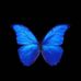 Sheena Torres - Facebook