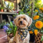 @sheenawatts608247 - Instagram