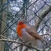 sheenawilcox289 - @sheenawilcox289 - TikTok