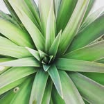 sheetal gurung - @little_expresions - Instagram
