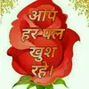 shefali - @shefali_agarwal_42 - TikTok
