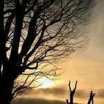 Shefali Shetty - @shefalishetty104 - Instagram