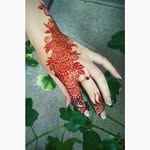 Shehla Javed - @shehlajaved - Instagram