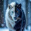 Shehryar Saeed - @shehryar.saeed72 - TikTok