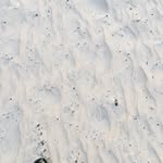 Alagie Seedia Kanteh - @sheikh_sheriff_ - Instagram