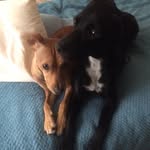 Sheila Adamson - @saaguzman - Instagram