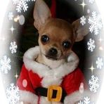Sheila Yager - Facebook