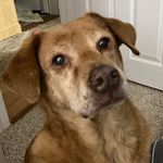 Sheila Agnew - @swelsh456 - Instagram