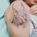 Aliiglesiassheila - @sheilaaliiglesiasgatos - Instagram