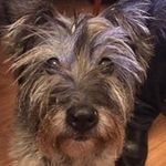 Sheila Allan - @sheila.mcmahon68 - Instagram