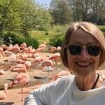 Sheila Allan - @sheilaallan1432 - Instagram