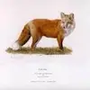sheilaallan255 - @sheilaallan255 - TikTok